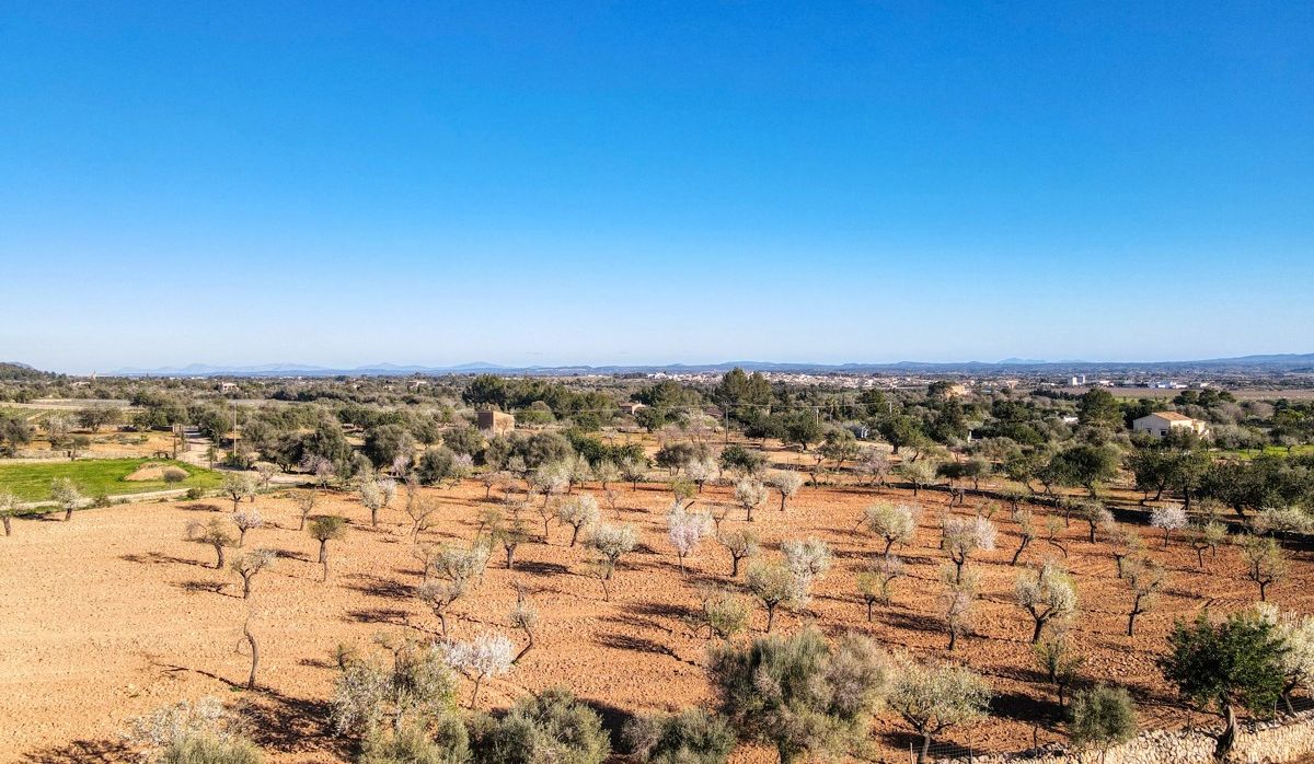 Finca-Alaró