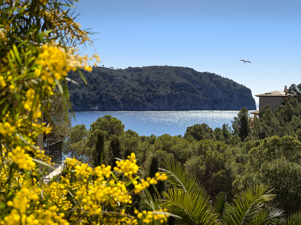 Casa-CampDeMar_by_Theory4__01