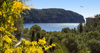 von_poll_real_estate_property_ES255092_image_4