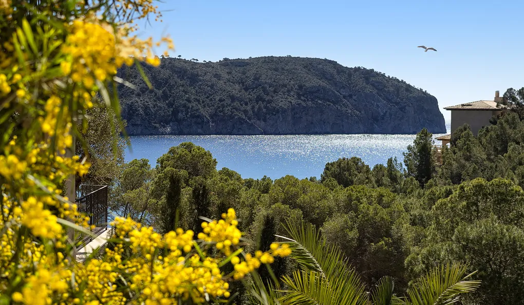 Casa-CampDeMar_by_Theory4__01