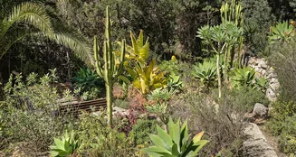 von_poll_real_estate_property_ES255092_image_22