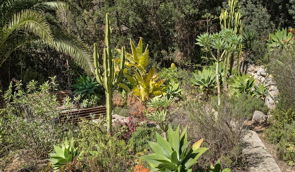 Casa-CampDeMar_by_Theory4__02