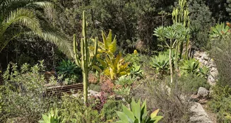 von_poll_real_estate_property_ES255092_image_45