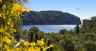 von_poll_real_estate_property_ES255092_image_50