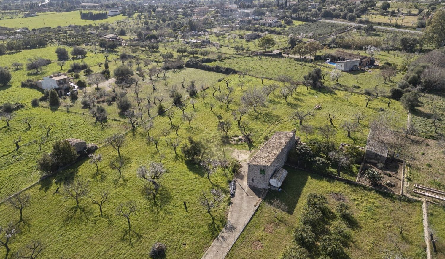 Finca-Selva