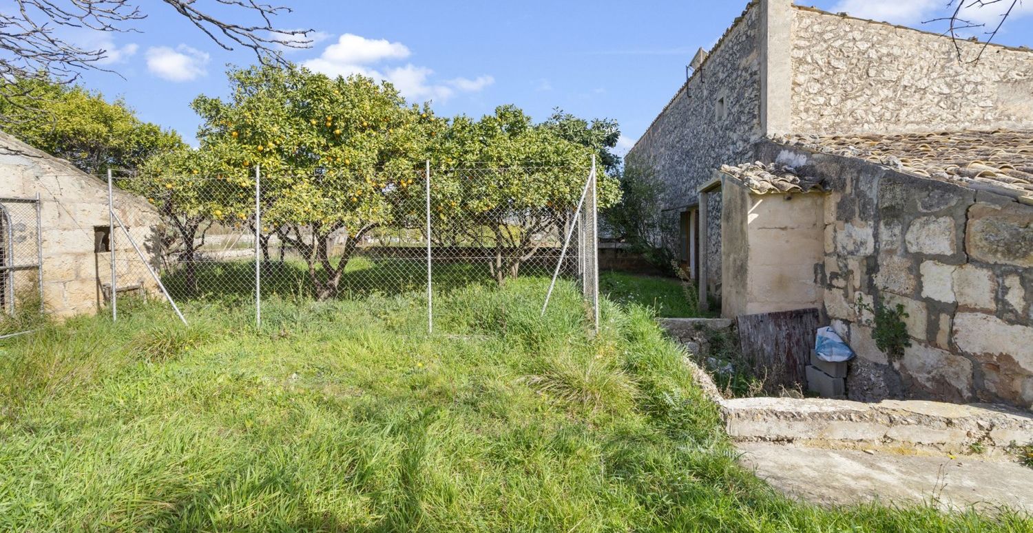 Finca-Selva