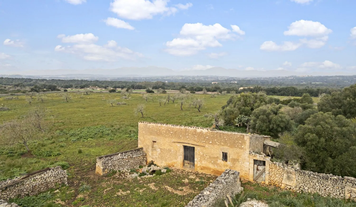 Suelo-edificable-Ariany