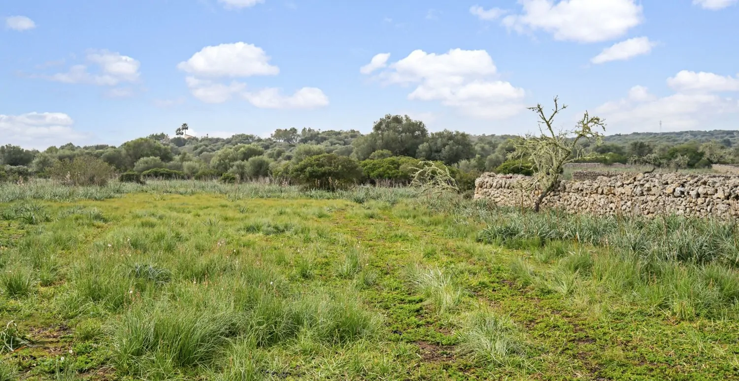 Suelo-edificable-Ariany