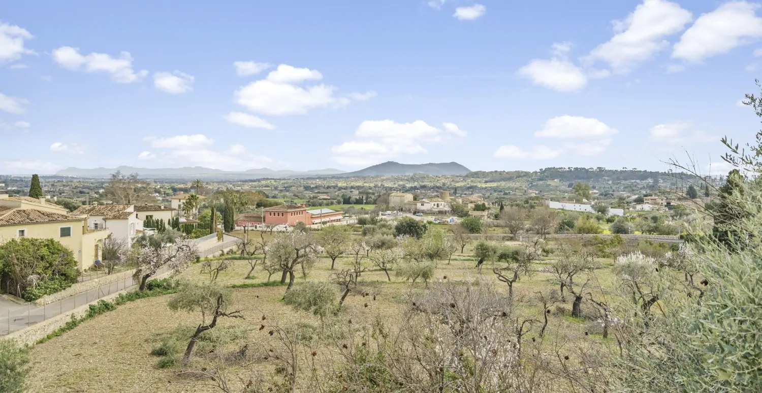 Casa-de-Pueblo-Selva