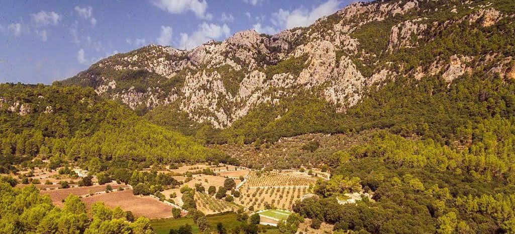 Orient-finca