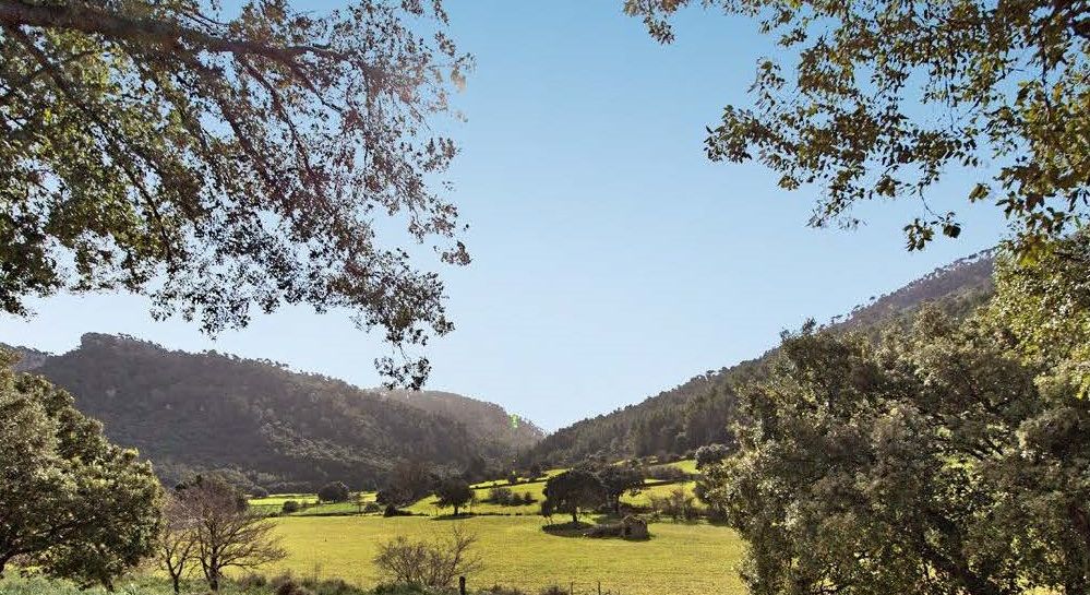 Orient-finca