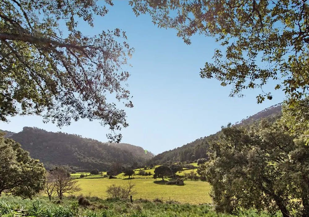 Orient-finca
