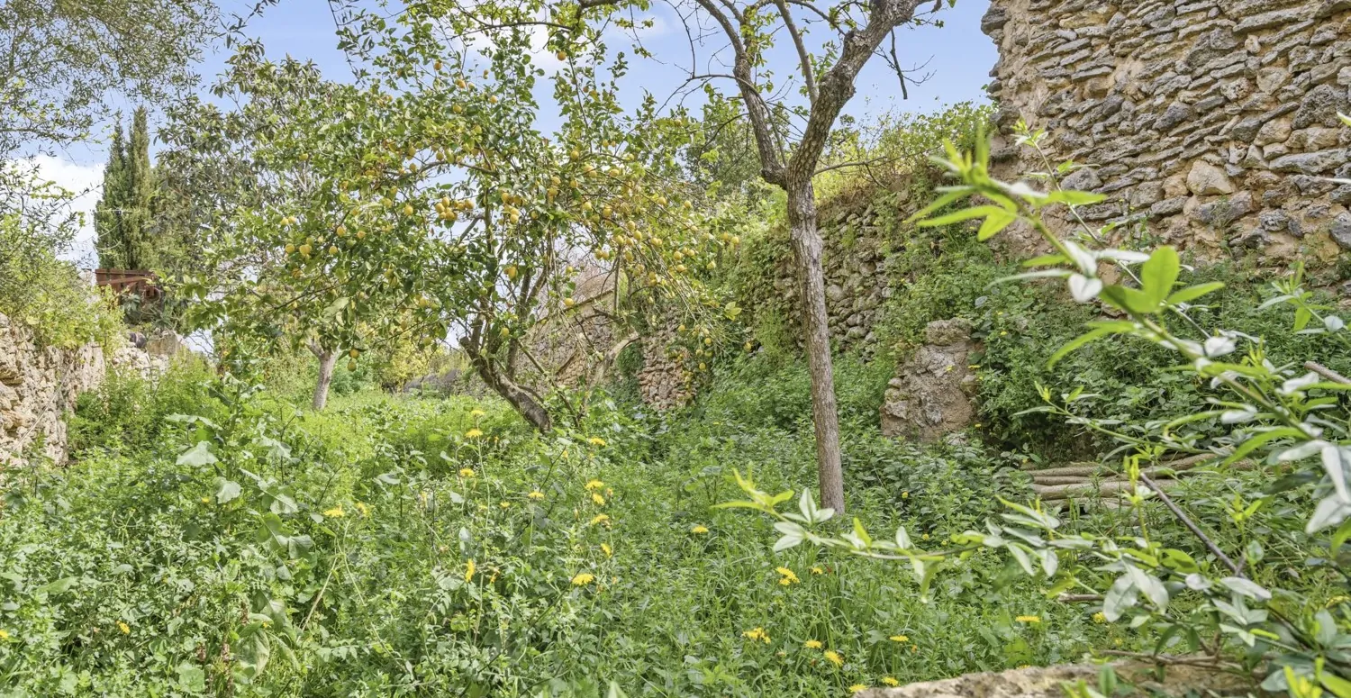 Suelo-edificable-Sencelles