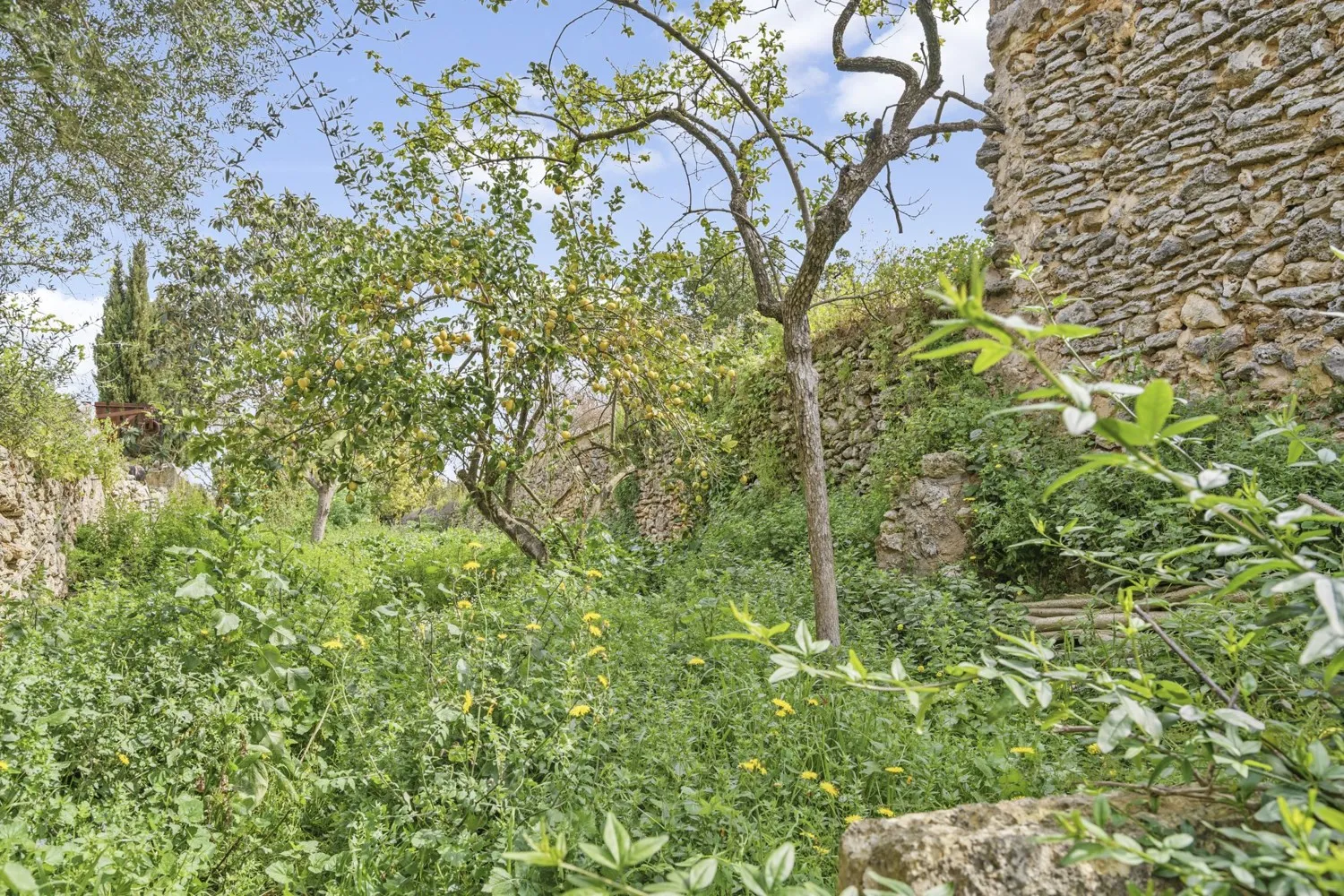 Suelo-edificable-Sencelles