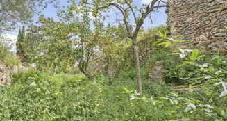 von_poll_real_estate_property_ES253745253_image_6