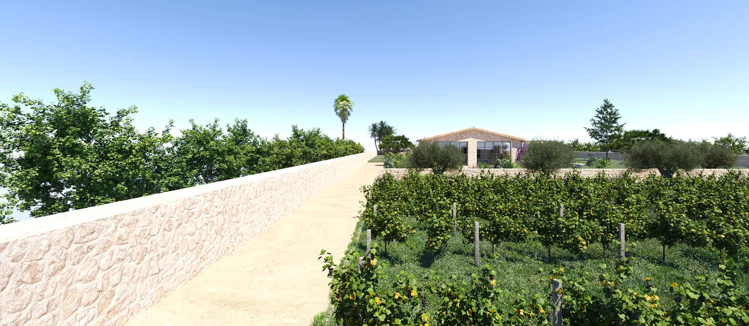 Suelo-edificable-Sa-Cabaneta