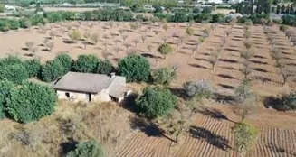 von_poll_real_estate_property_ES253745263_image_9