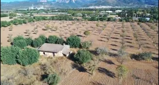 von_poll_real_estate_property_ES253745263_image_8