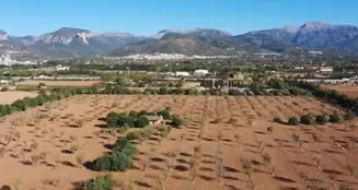 von_poll_real_estate_property_ES253745263_image_10