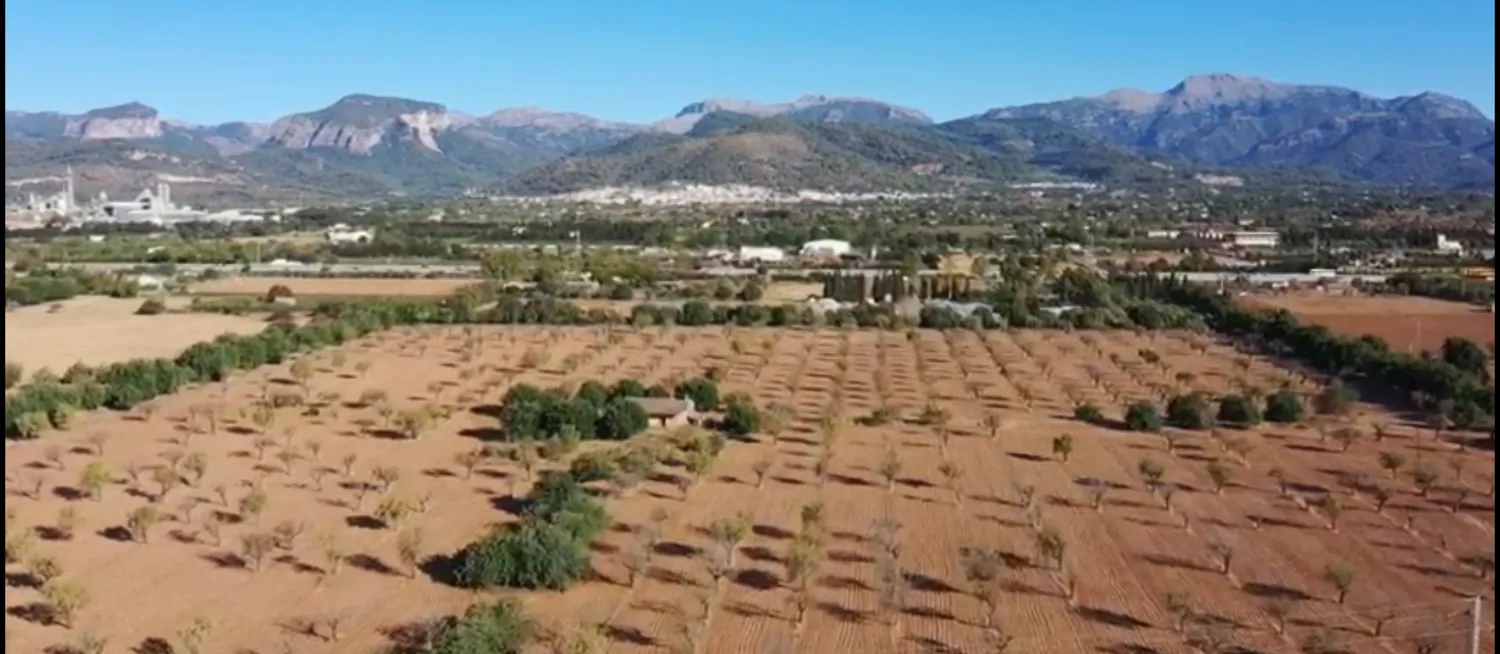 Suelo-edificable-Inca