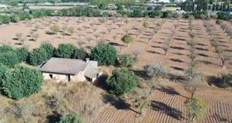 von_poll_real_estate_property_ES253745263_image_12