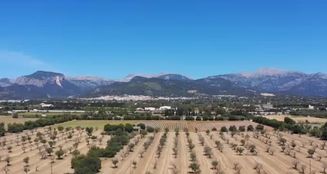 von_poll_real_estate_property_ES253745263_image_13