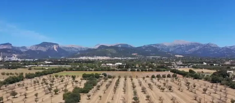 Suelo-edificable-Inca