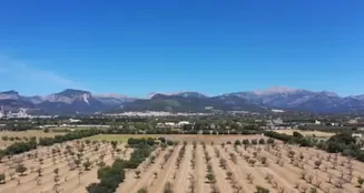 von_poll_real_estate_property_ES253745263_image_10