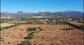 von_poll_real_estate_property_ES253745263_image_21