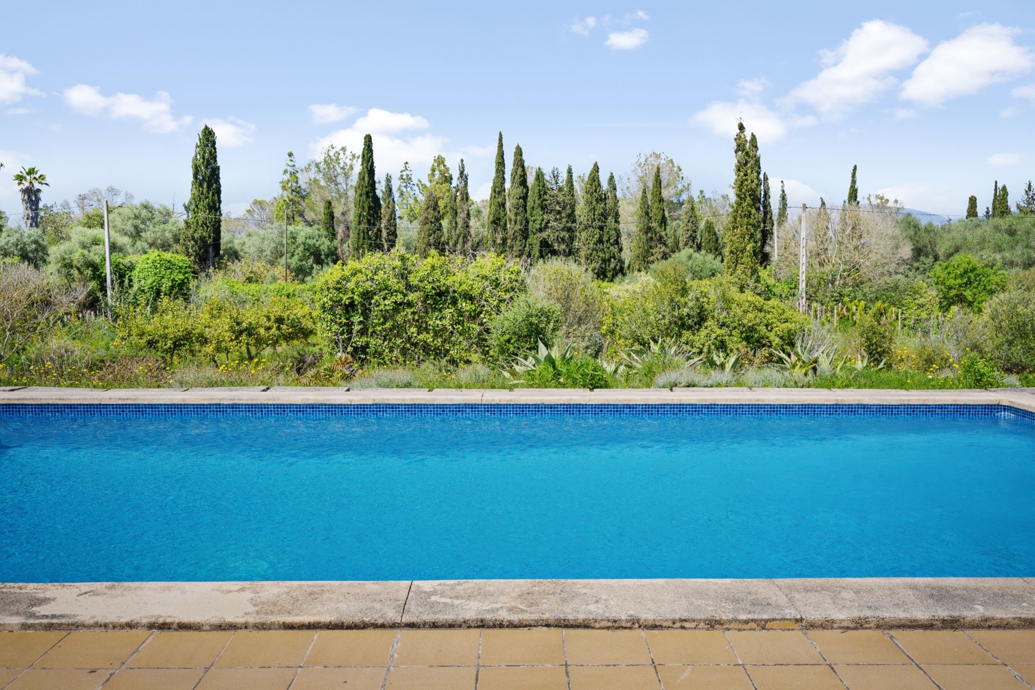 Finca-Biniali
