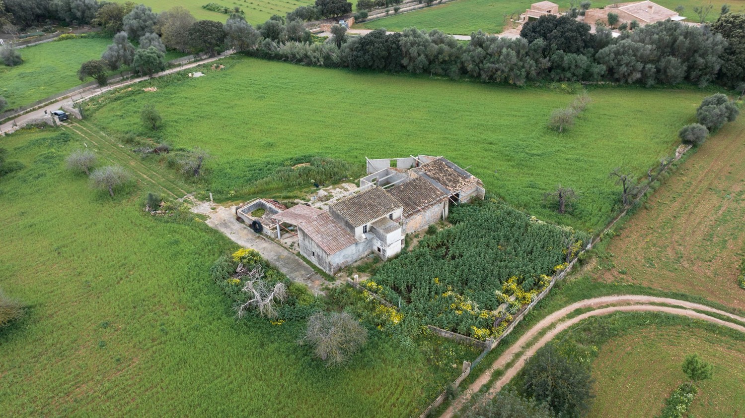 Suelo-edificable-Binessalem