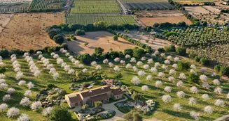 von_poll_real_estate_property_ES253745301_image_16