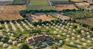 von_poll_real_estate_property_ES253745301_image_16