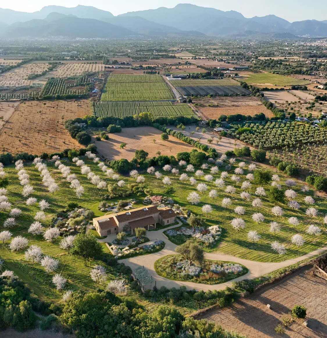 Suelo-edificable-Inca