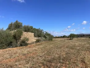 Plot with approved project to build a villa with pool in the immediate vicinity of Llucmajor