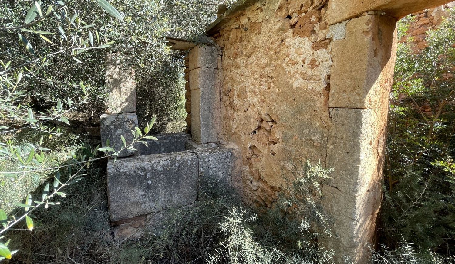Finca-Llucmajor