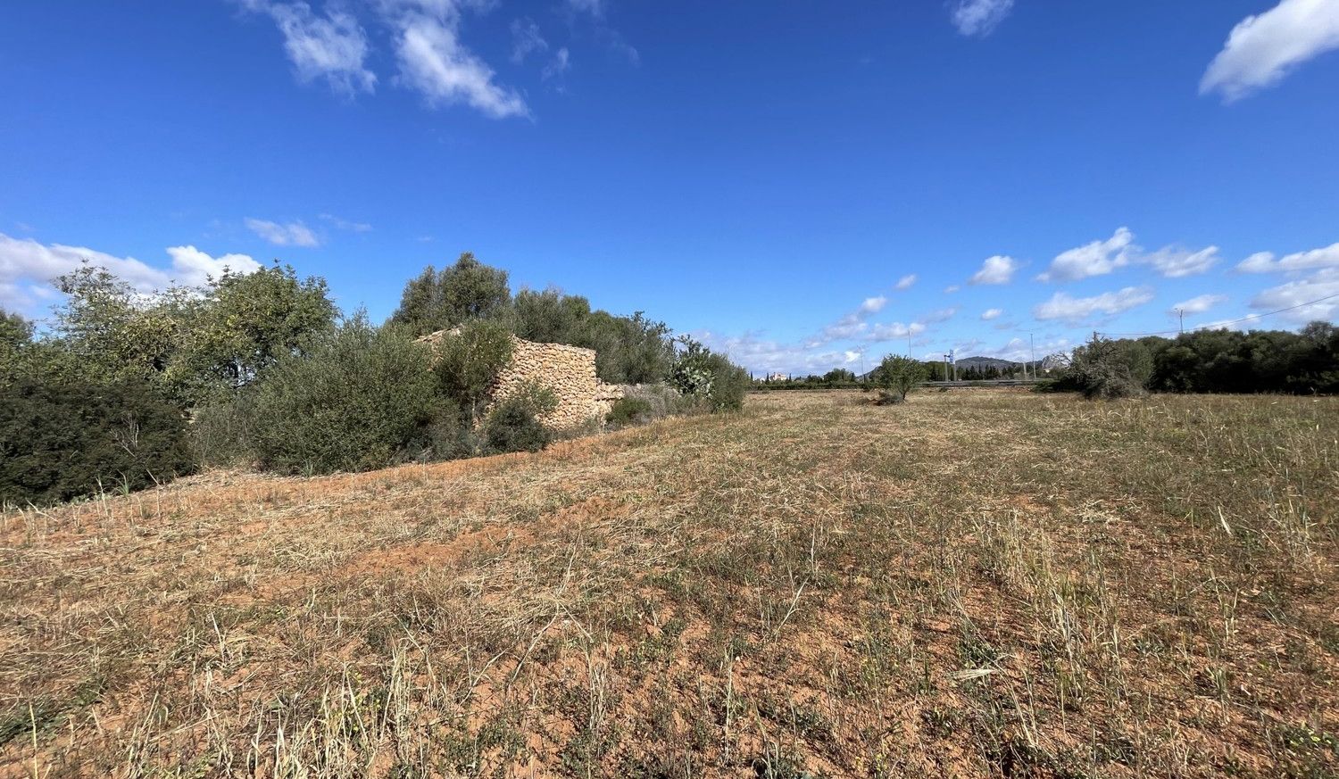Finca-Llucmajor