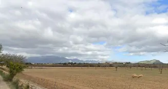 von_poll_real_estate_property_ES253745310_image_12