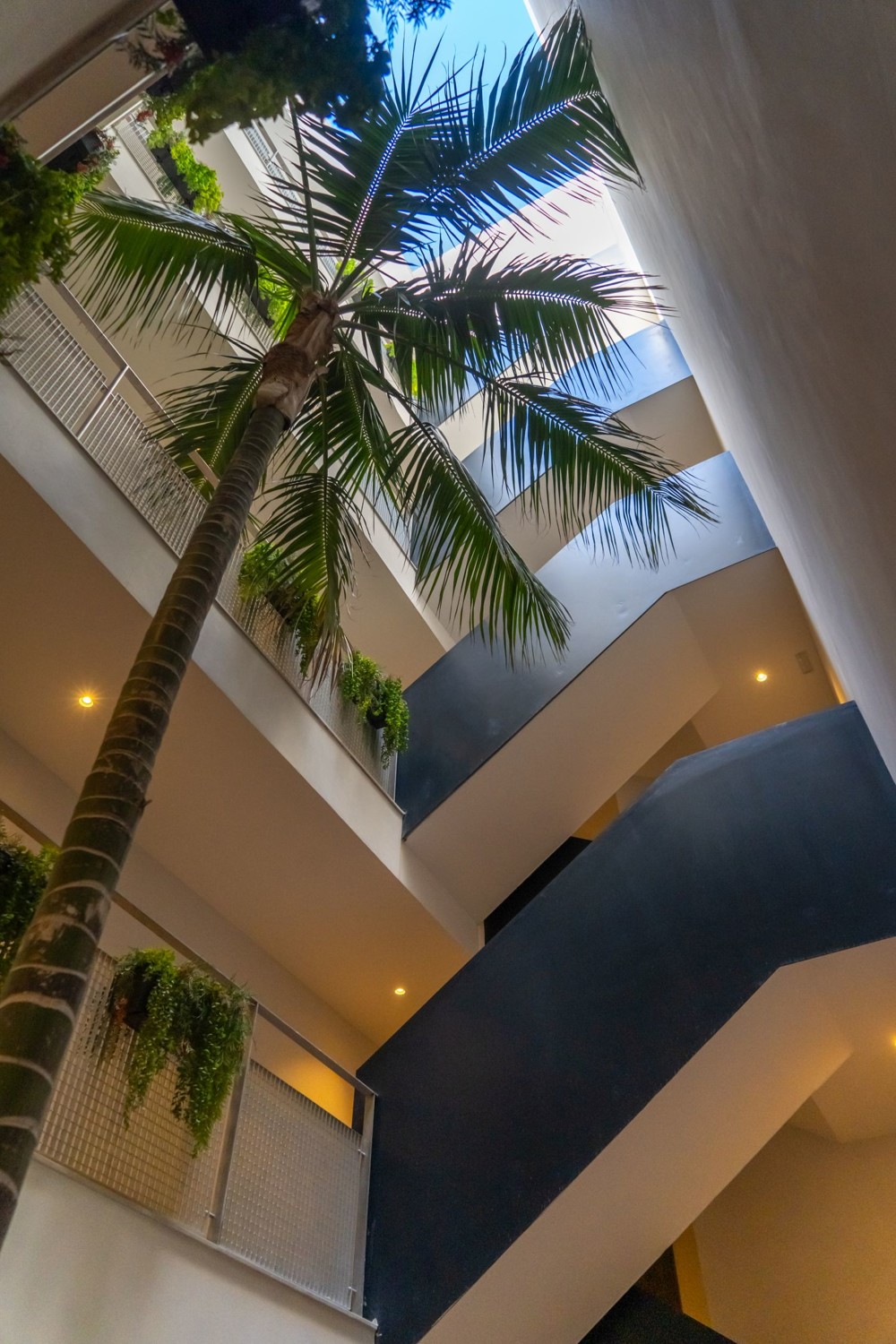 Apartamento-Palma