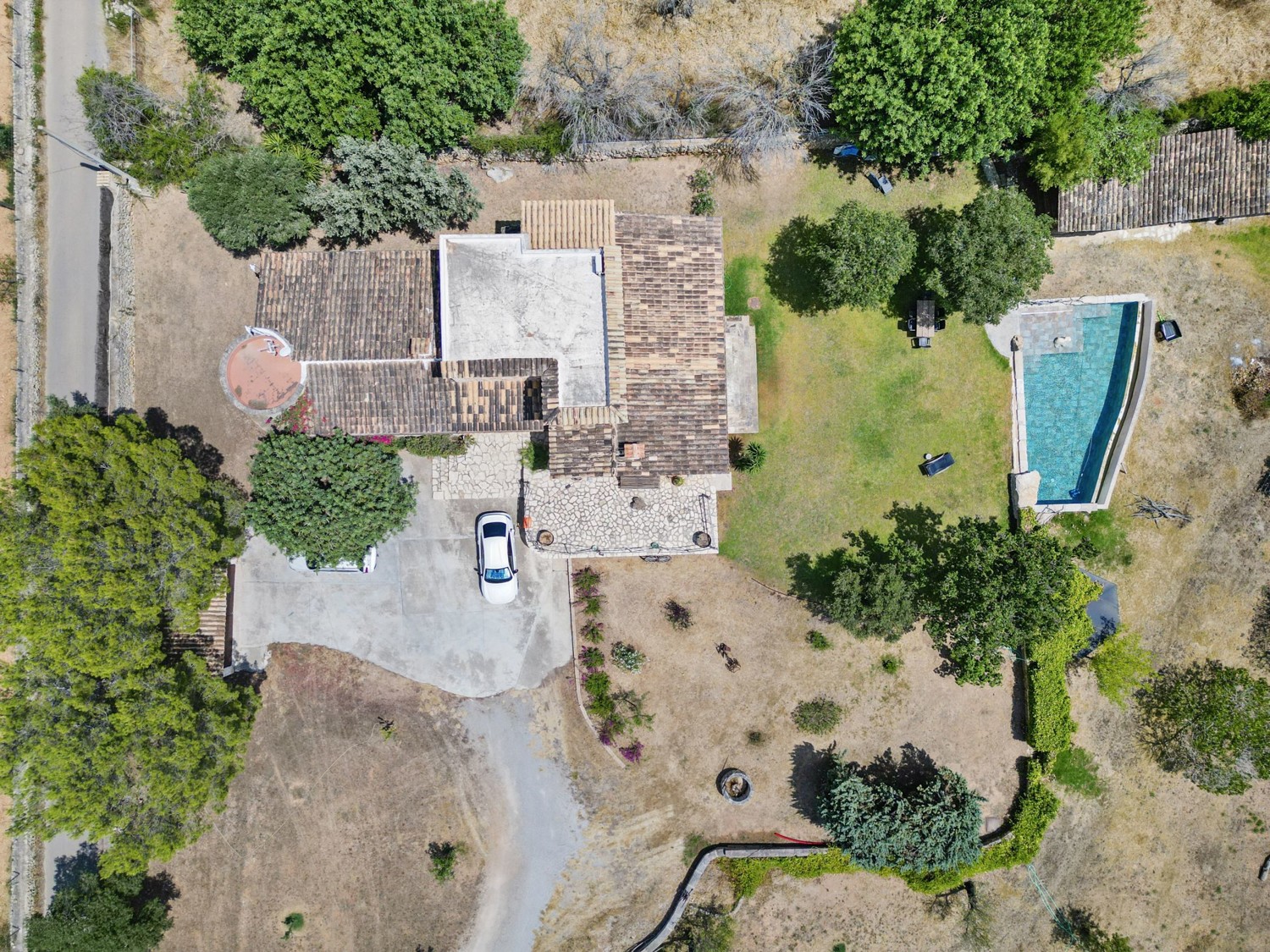Finca-Inca