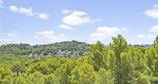 von_poll_real_estate_property_ES253745472_image_61