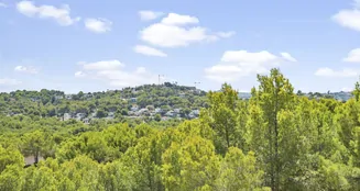 von_poll_real_estate_property_ES253745472_image_28