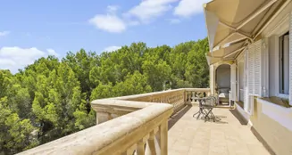 von_poll_real_estate_property_ES253745472_image_83