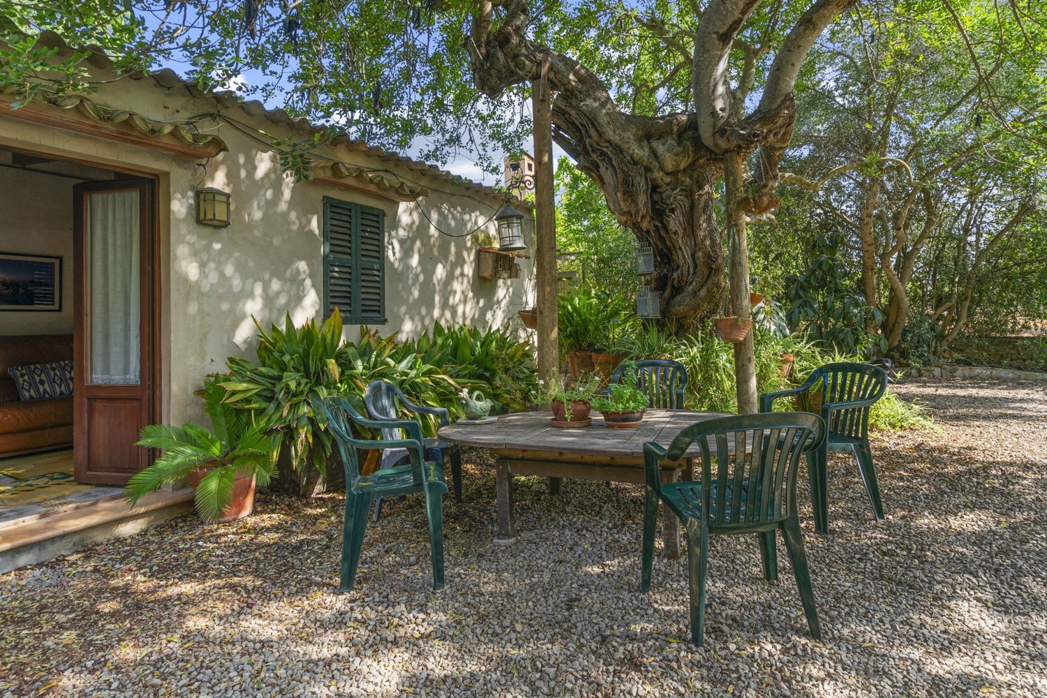 Finca-Santa-Maria
