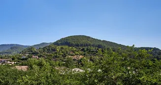 von_poll_real_estate_property_ES253745480_4_image_26