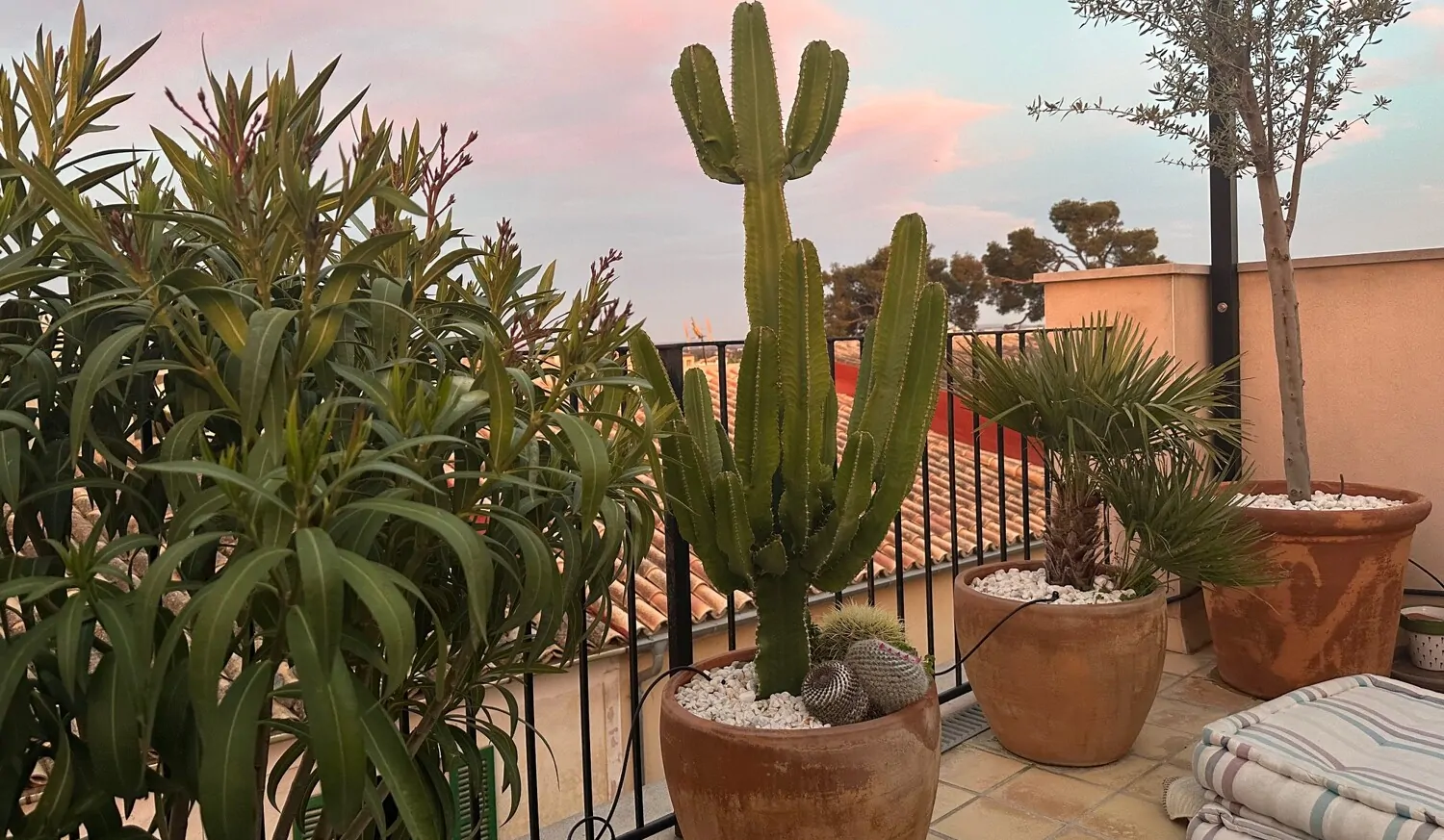 Abendstimmung Terrasse 1