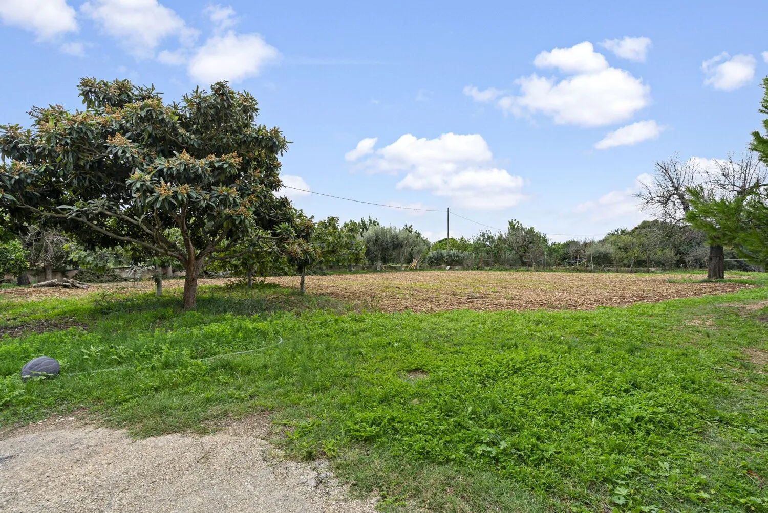 Naturaleza circundante