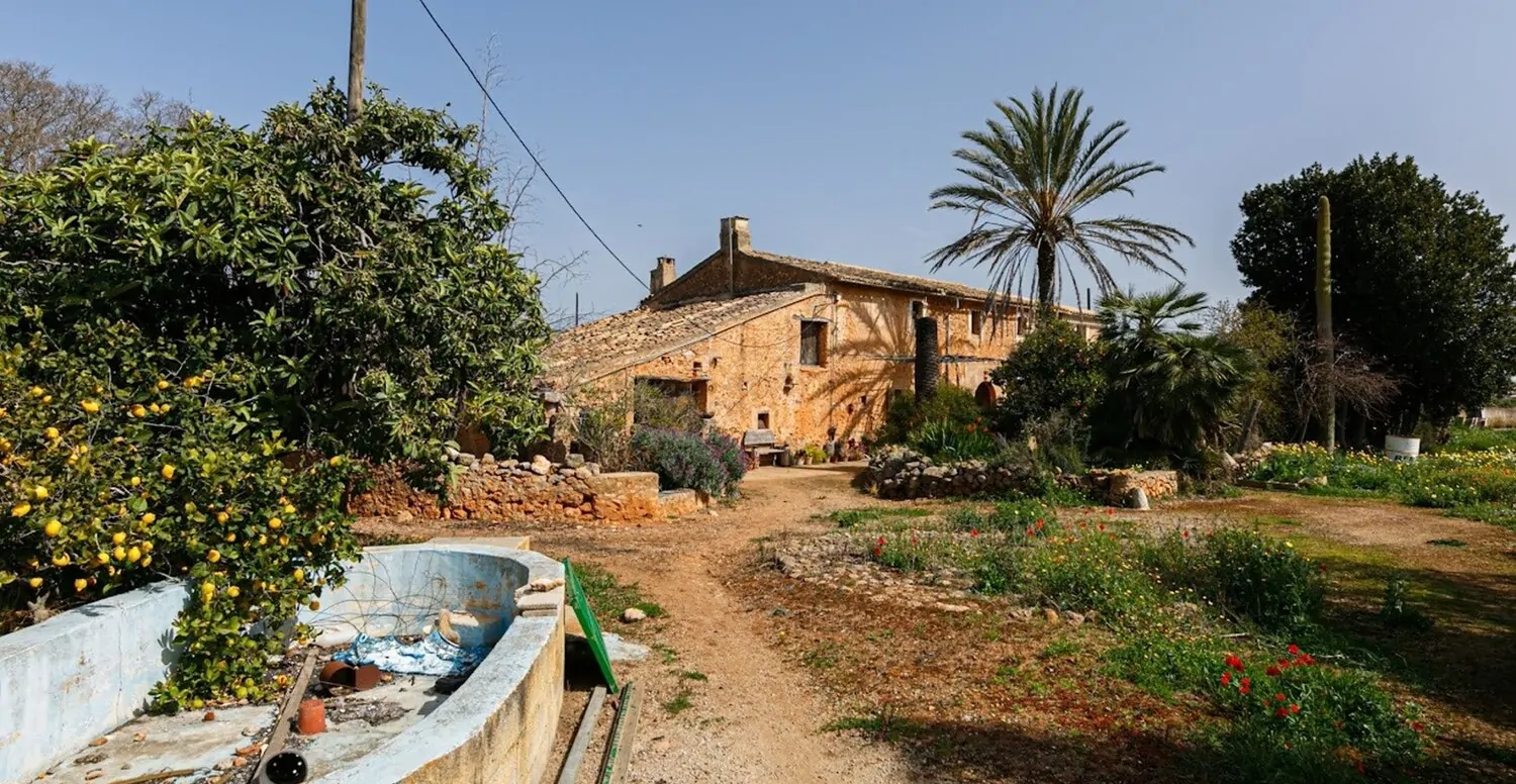 Außenbereich mit Pool