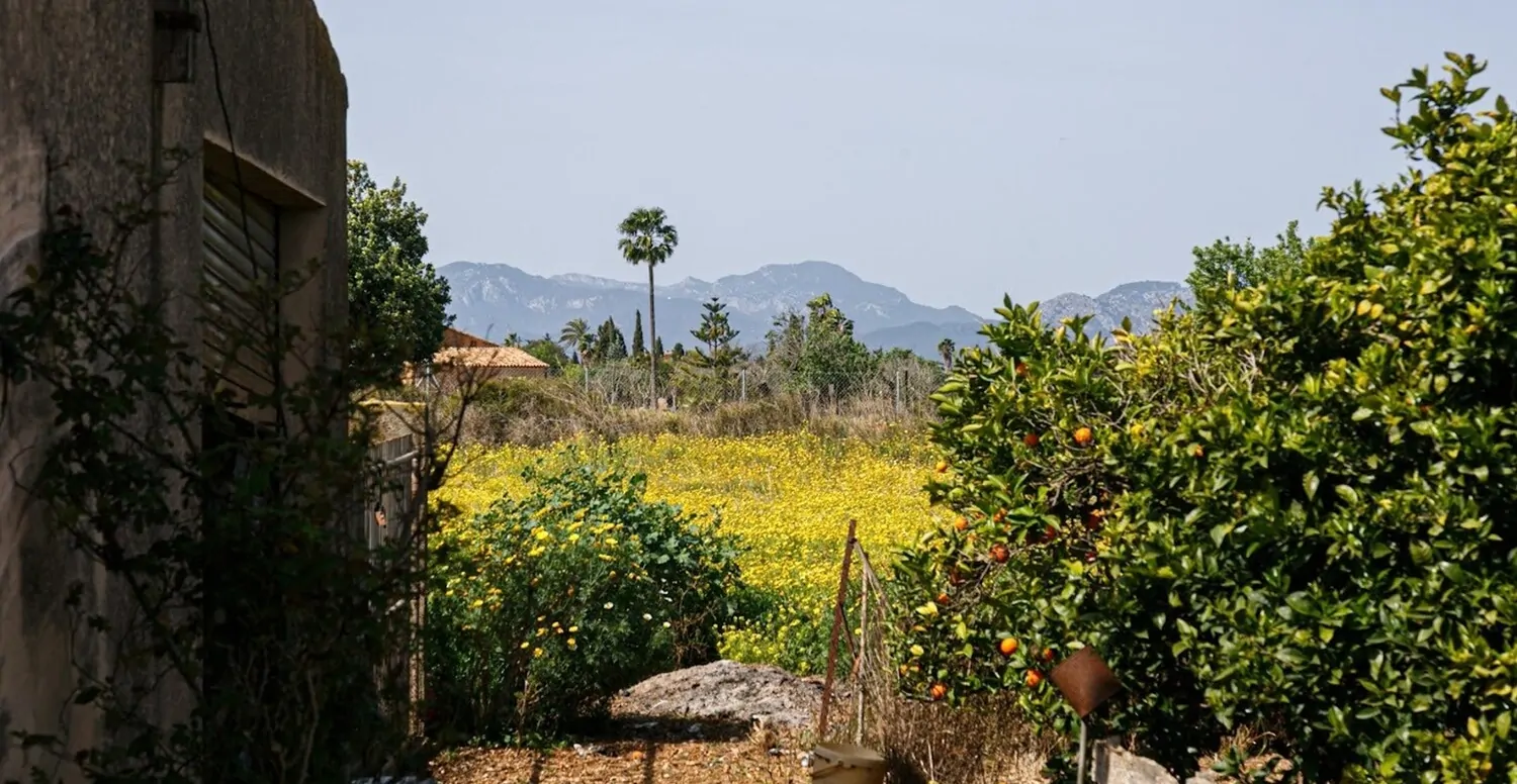 Garten mit Blick auf die Berge