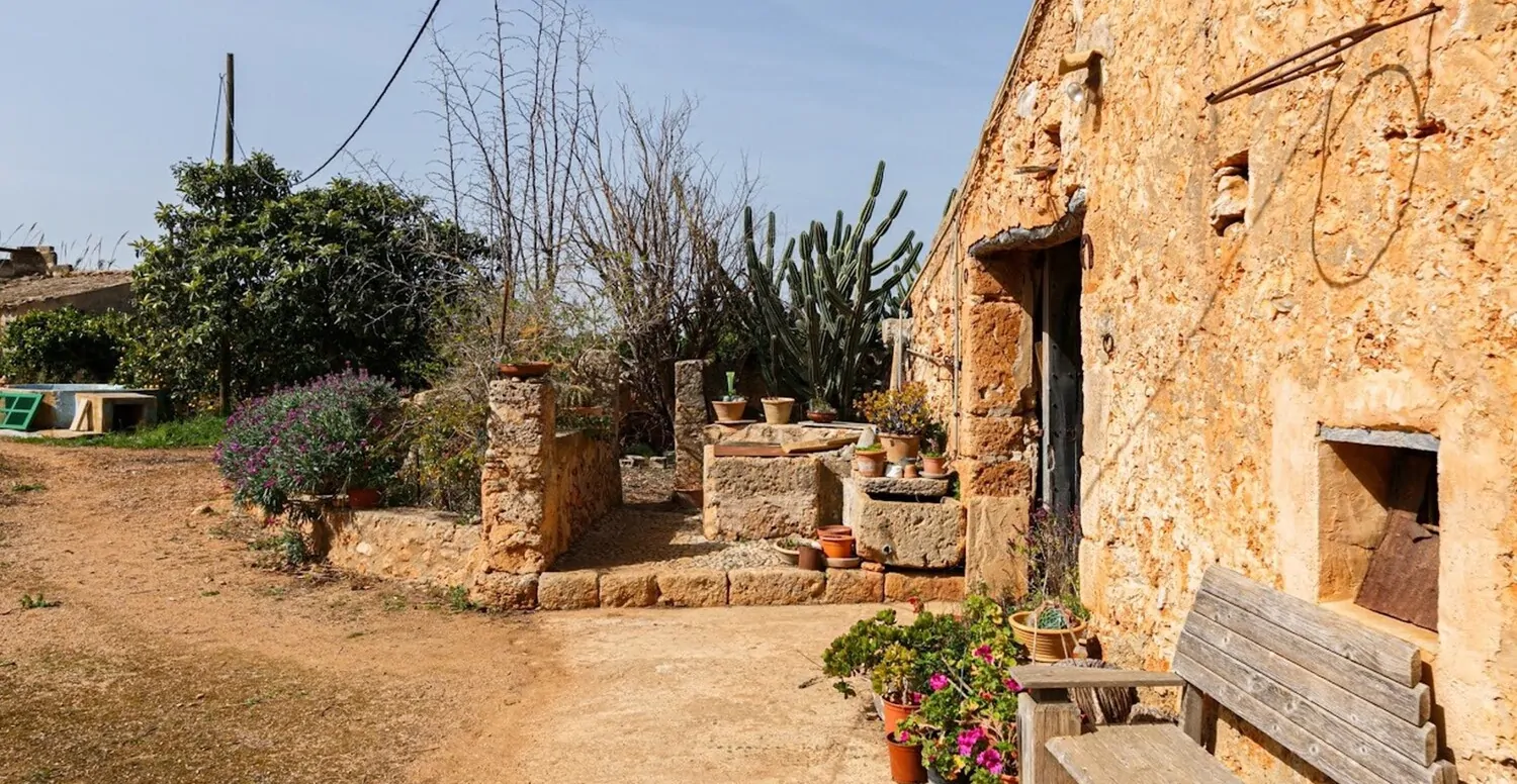 Außenbereich nähe Eingang